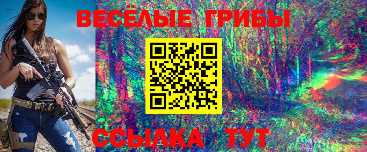 Чистополь  Псилоцибиновые грибы GOLDEN TEACHER  Вход с VPN  купить   Псилоцибиновые грибы Psilocybine cubensis 